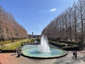 相模原市の医療的ケア児・障がいのある子どもと家族のための、情報とつながりを届けるサイト【ミラクルポケット】相模原公園の写真